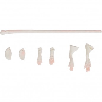 Набор для ремонта приманки крысы SAVAGE GEAR LB 3D Rad Maintenance 20 03-White