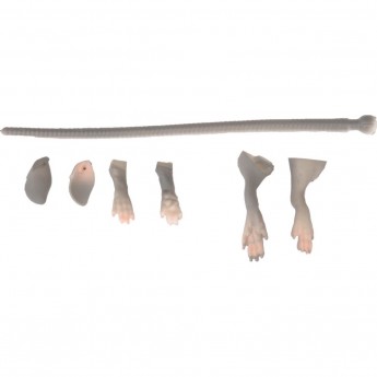 Набор для ремонта приманки крысы SAVAGE GEAR LB 3D Rad Maintenance 30 04-Grey