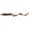 Приманка SAVAGE GEAR LB Real Eel 30cm 56g+8g 02-Olive Pearl NL 2+2pcs 45011
