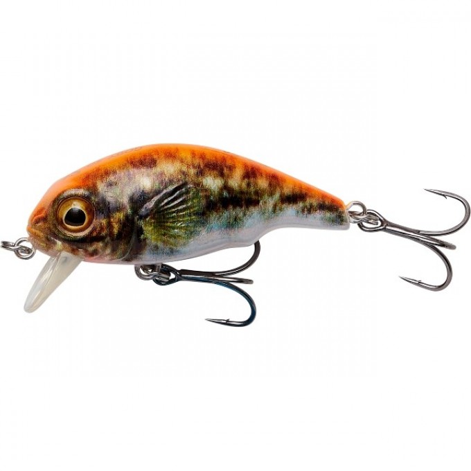 Воблер SAVAGE GEAR 3D Goby Crank SR 4cm 3g F Orange 71726