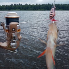 Блесна SAVAGE GEAR Rotex Spinner #2 5.5g 02-Copper